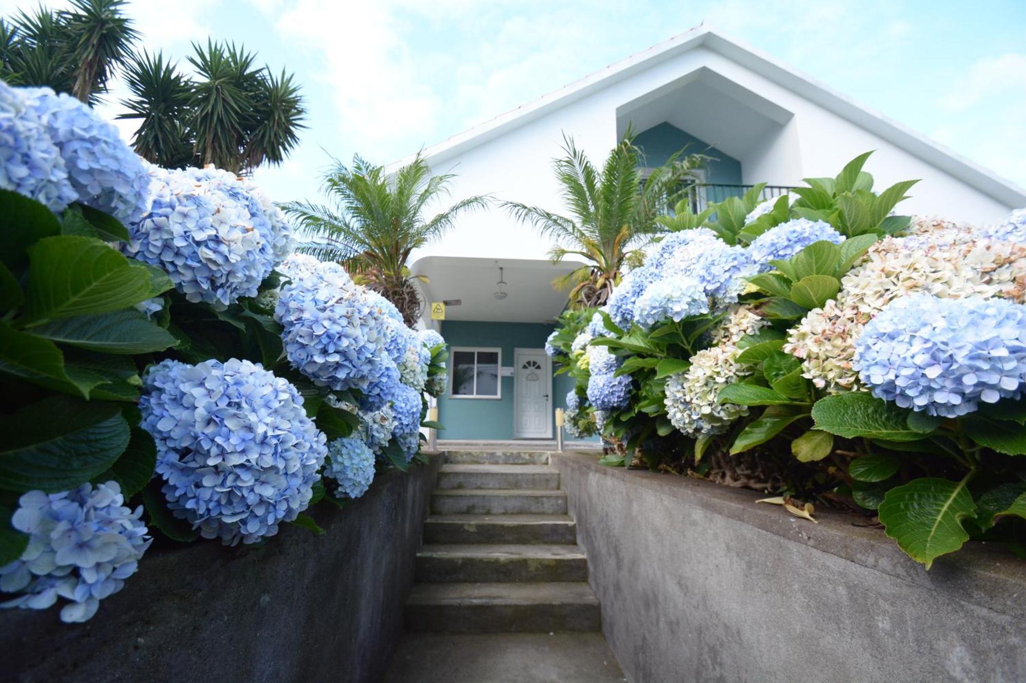 Casinha Das Hortensias Lägenhet Horta  Exteriör bild