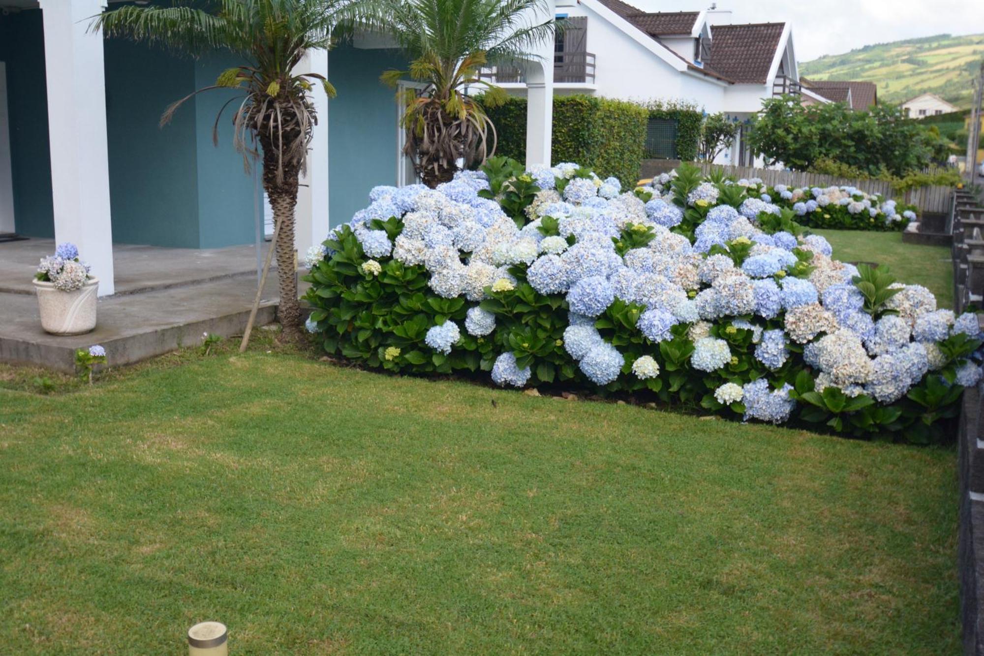Casinha Das Hortensias Lägenhet Horta  Exteriör bild