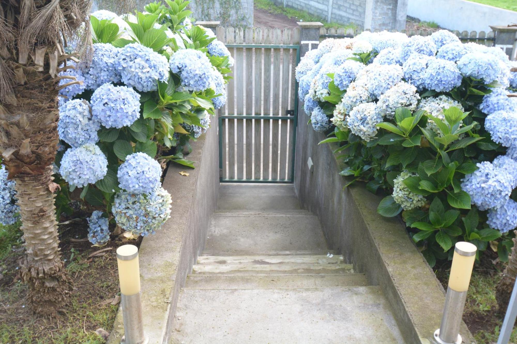 Casinha Das Hortensias Lägenhet Horta  Exteriör bild